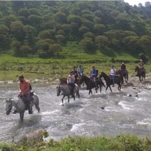 Tour Rio Boqueron