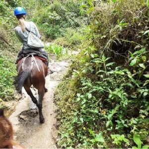 Tour FINCA BUENOS AIRES