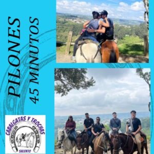 Tour Pilones