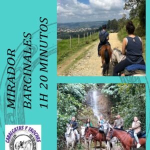Mirador Barcinales