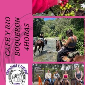 Tour Cafe y Rio Boquerón
