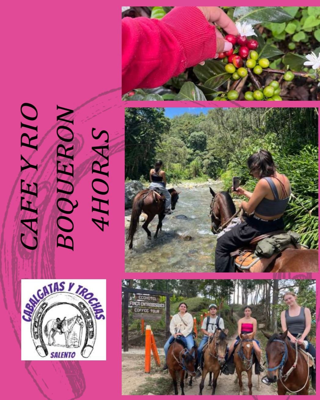 Tour Cafe y Rio Boquerón