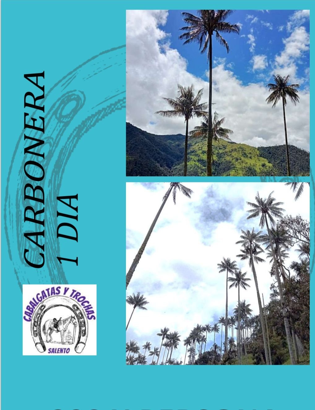 Tour Carbonera